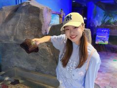 -萌宠奇缘(荣鼎店)