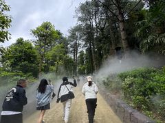 -贵州森林野生动物园