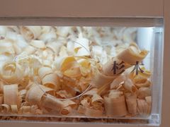 -杭州工艺美术博物馆