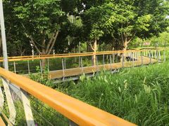 -东郊湿地公园