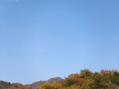 喇叭沟门森林公园-北京白桦林彭兴全农家院