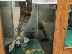 -上海大自然野生昆虫馆(东方明珠·爬宠昆虫探索中心)