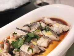 -安蒂娅·海鲜自助餐厅(安蒂娅美兰酒店)