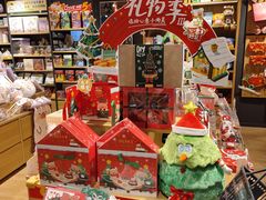 -皇城恒隆广场