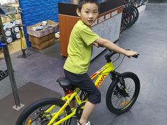 -GIANT捷安特自行车专卖店(金桥台儿庄路店)