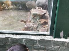 -无锡动物园·太湖欢乐园