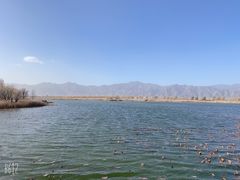 -野鸭湖国家湿地公园