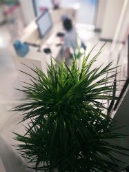 -AiCure 埃可儿·韩国医学皮肤管理