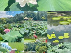 -广州莲花山旅游区