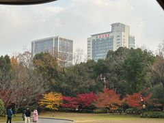 -上海瑞金洲际酒店