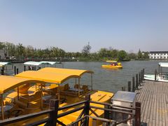 -上海长兴岛郊野公园