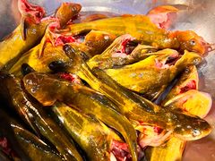 -肖肖酸萝卜鱼火锅(总店)