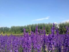 -长春公园(普阳街道)