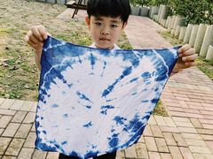 -合肥滨湖国家森林公园