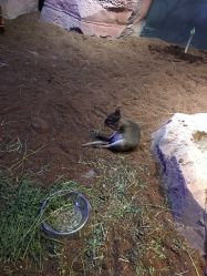 -酷嗒动物文化乐园(cutezoo西溪乐天城店)