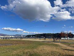 -洱海月湿地公园