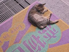 -恋物百货商店(华侨城店)