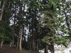 -达仓郎木寺院