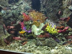 -太平洋海底世界