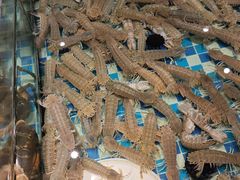 -南海底小海鲜·湘菜(鲁巷吴家湾店)