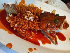 -松鹤楼·非遗·苏帮菜(融科店)