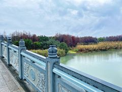 -三垟湿地