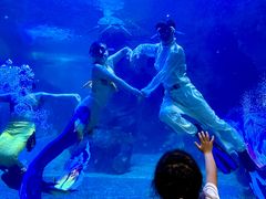 -左海海底世界