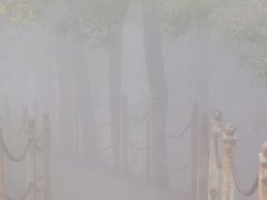-陕西省红河谷森林公园