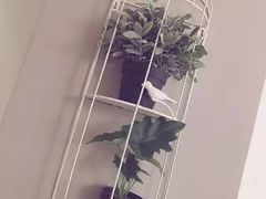 -云朵上的鱼(莘庄店)
