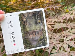 -灵谷景区
