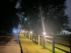 -北京群众马术培训基地