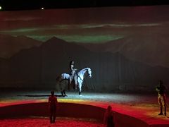 -cavalia·舞马