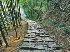 -莫干山风景区