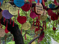 -宁波市保国寺古建筑博物馆