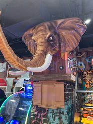 点击看大图 -卡通尼·Safari非洲探索乐园·生日会(金桥国际商业广场店)