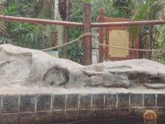 -龙达温泉生态城