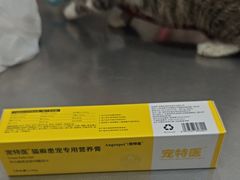 -瑞派名望志远动物医院·猫科·內科·异宠专科(直港大道店)