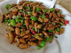 -新塘畔酒楼(里水大道北店)