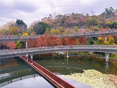 -福道