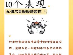 -荔康动物医院(康王北路店)