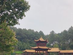 -铁山坪森林公园