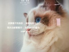 -宠颐生斯嘉宠物医院·急重症·心内科(谷阳北路分院)