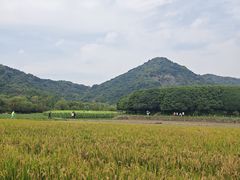 -八卦田遗址公园
