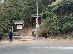 -狮子山郊野公园