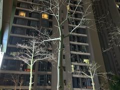 -广州绿地中央广场