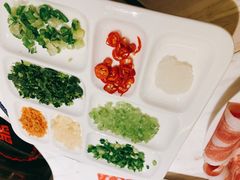 -汤城·料青山