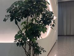 -小仙女采耳·按摩·SPA(深圳旗舰店)