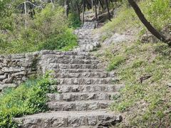 -原山国家森林公园