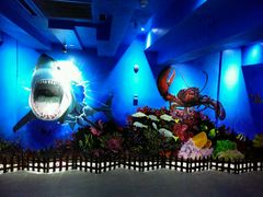 -船奇蒸汽海鲜·闽菜(八市海鲜总店)