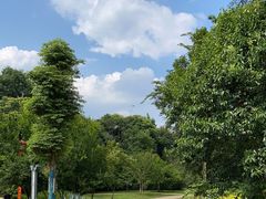 -眉山湿地公园(东坡区)